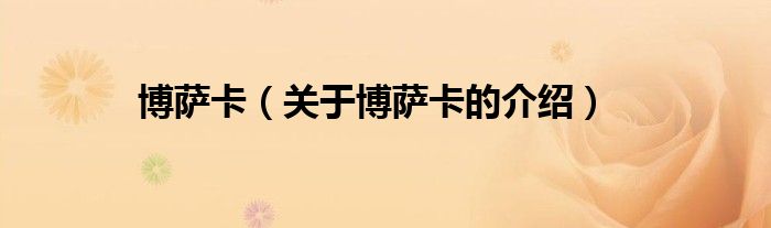博萨卡（关于博萨卡的介绍）