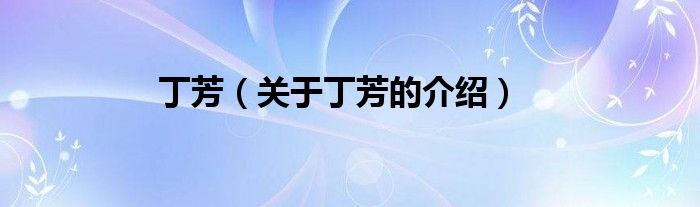 丁芳（关于丁芳的介绍）