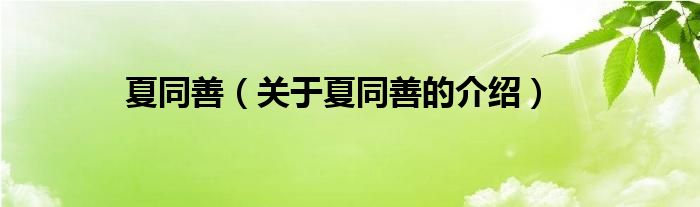 夏同善（关于夏同善的介绍）
