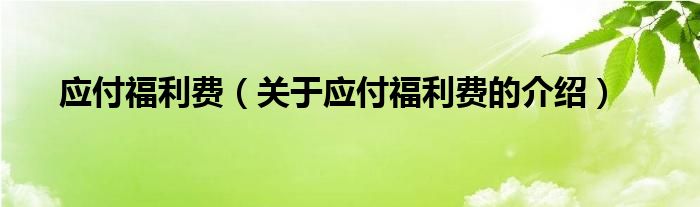 应付福利费（关于应付福利费的介绍）