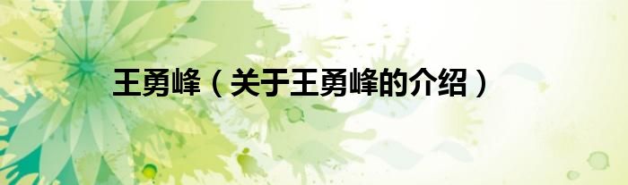 王勇峰（关于王勇峰的介绍）
