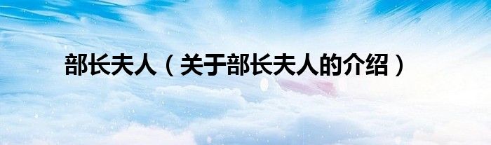 部长夫人（关于部长夫人的介绍）
