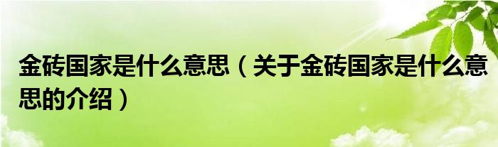 金砖国家是什么意思（关于金砖国家是什么意思的介绍）