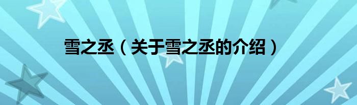雪之丞（关于雪之丞的介绍）