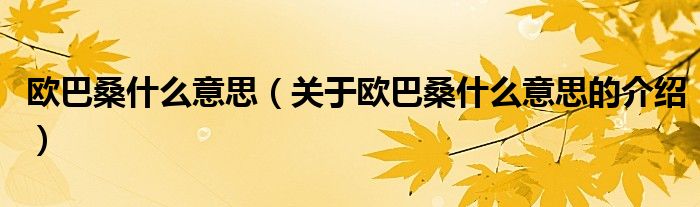欧巴桑什么意思（关于欧巴桑什么意思的介绍）