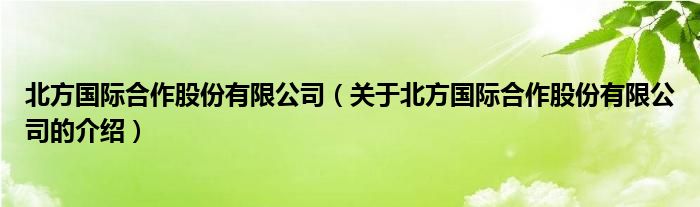 北方国际合作股份有限公司（关于北方国际合作股份有限公司的介绍）