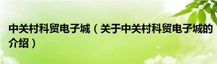 中关村科贸电子城（关于中关村科贸电子城的介绍）