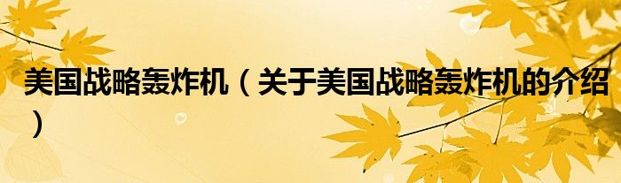 美国战略轰炸机（关于美国战略轰炸机的介绍）