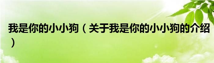 我是你的小小狗（关于我是你的小小狗的介绍）