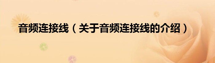 音频连接线（关于音频连接线的介绍）