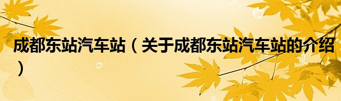 成都东站汽车站（关于成都东站汽车站的介绍）