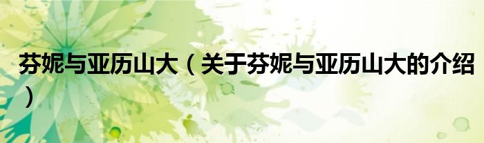 芬妮与亚历山大（关于芬妮与亚历山大的介绍）