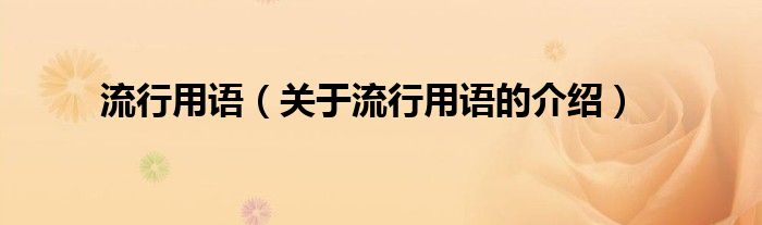 流行用语（关于流行用语的介绍）