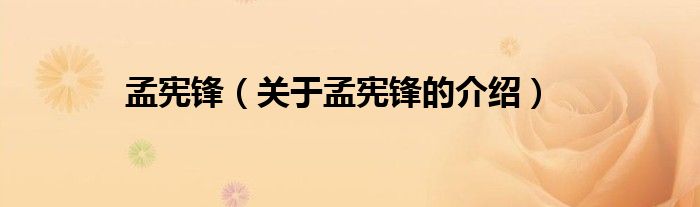 孟宪锋（关于孟宪锋的介绍）