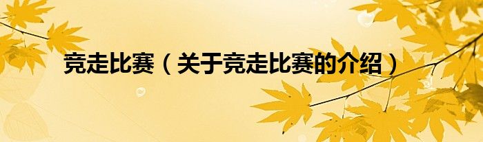 竞走比赛（关于竞走比赛的介绍）