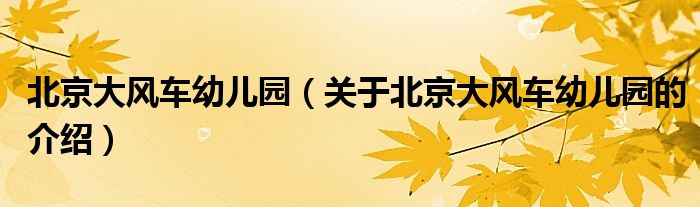 北京大风车幼儿园（关于北京大风车幼儿园的介绍）