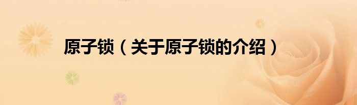 原子锁（关于原子锁的介绍）
