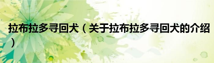 拉布拉多寻回犬（关于拉布拉多寻回犬的介绍）