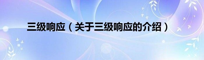 三级响应（关于三级响应的介绍）