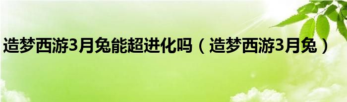 造梦西游3月兔能超进化吗（造梦西游3月兔）
