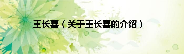 王长喜（关于王长喜的介绍）