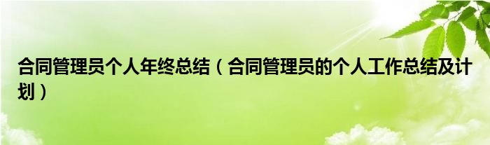 合同管理员个人年终总结（合同管理员的个人工作总结及计划）