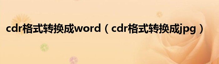 cdr格式转换成word（cdr格式转换成jpg）