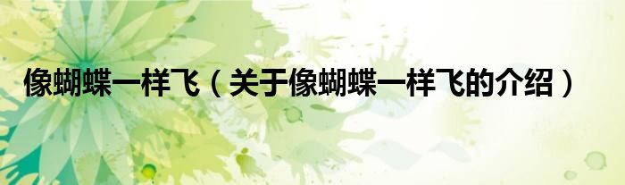 像蝴蝶一样飞（关于像蝴蝶一样飞的介绍）