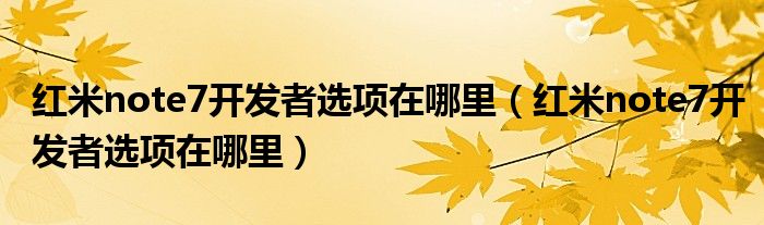 红米note7开发者选项在哪里（红米note7开发者选项在哪里）