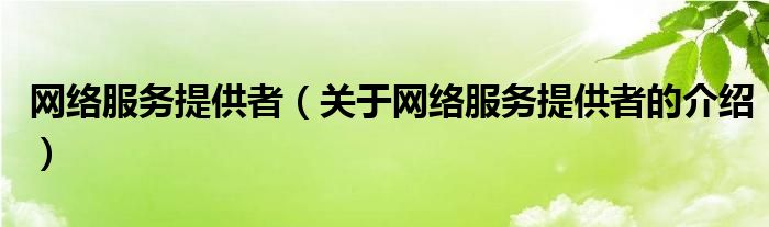网络服务提供者（关于网络服务提供者的介绍）