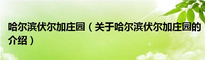 哈尔滨伏尔加庄园（关于哈尔滨伏尔加庄园的介绍）