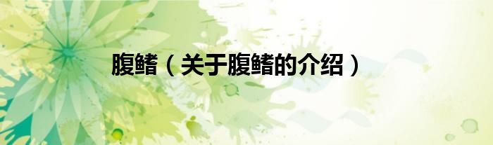 腹鳍（关于腹鳍的介绍）
