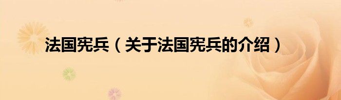法国宪兵（关于法国宪兵的介绍）