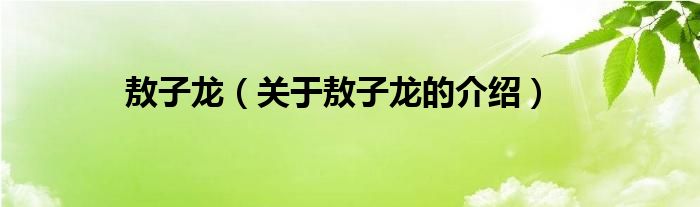 敖子龙（关于敖子龙的介绍）