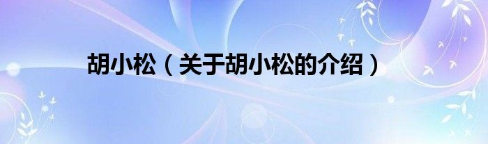 胡小松（关于胡小松的介绍）