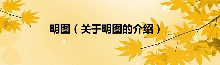 明图（关于明图的介绍）