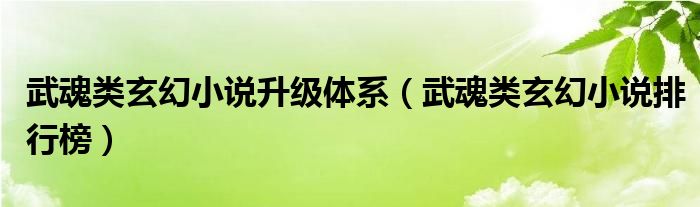 武魂类玄幻小说升级体系（武魂类玄幻小说排行榜）