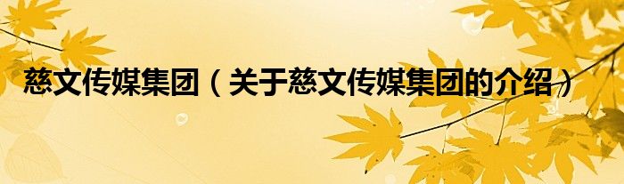 慈文传媒集团（关于慈文传媒集团的介绍）