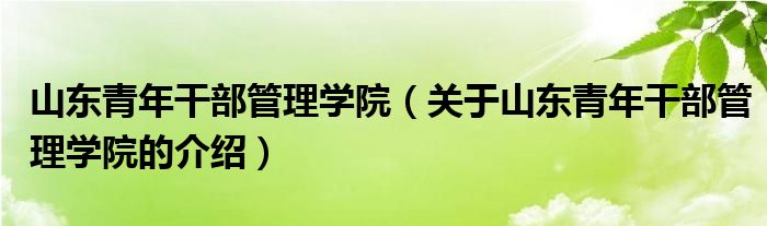 山东青年干部管理学院（关于山东青年干部管理学院的介绍）