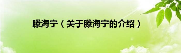 滕海宁（关于滕海宁的介绍）