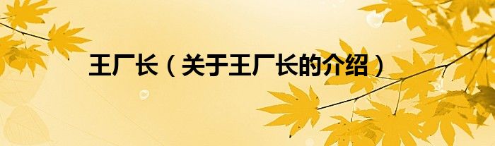 王厂长（关于王厂长的介绍）