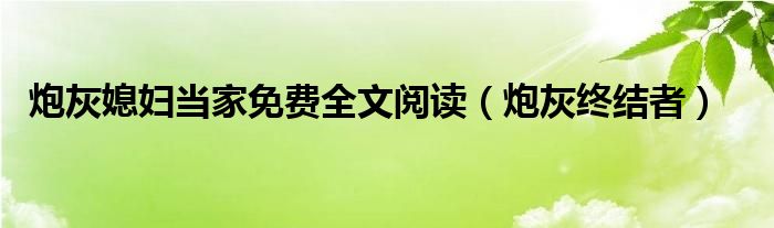 炮灰媳妇当家免费全文阅读（炮灰终结者）