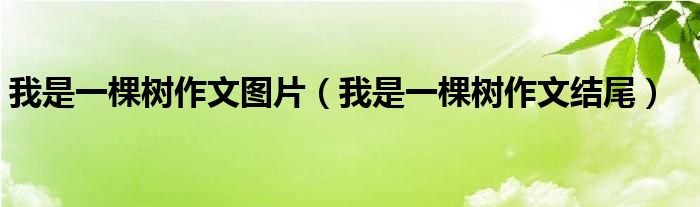 我是一棵树作文图片（我是一棵树作文结尾）
