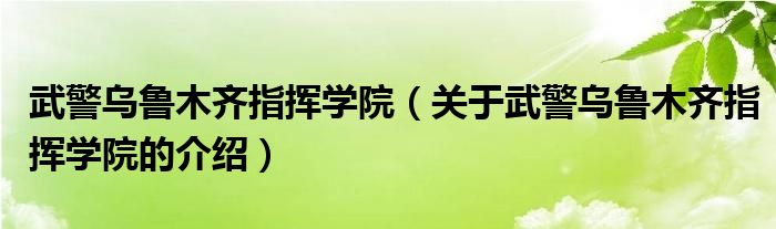 武警乌鲁木齐指挥学院（关于武警乌鲁木齐指挥学院的介绍）