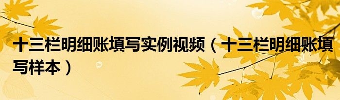 十三栏明细账填写实例视频（十三栏明细账填写样本）