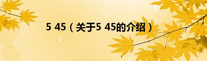 5 45（关于5 45的介绍）