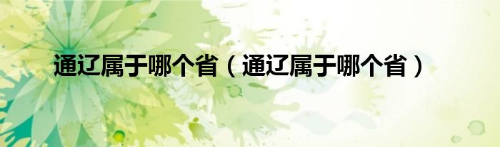 通辽属于哪个省（通辽属于哪个省）