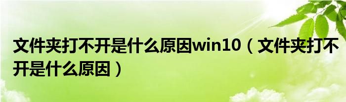 文件夹打不开是什么原因win10（文件夹打不开是什么原因）