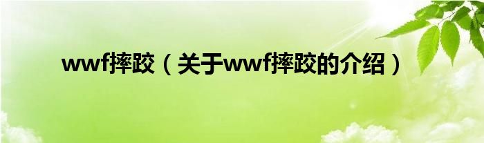 wwf摔跤（关于wwf摔跤的介绍）