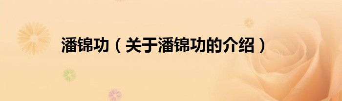 潘锦功（关于潘锦功的介绍）